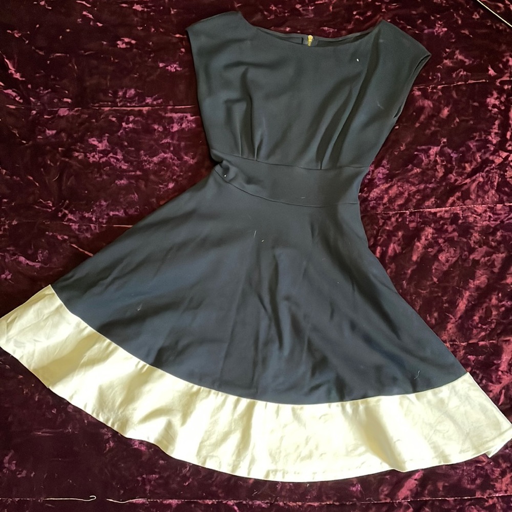 Kate spade fit and flare dress